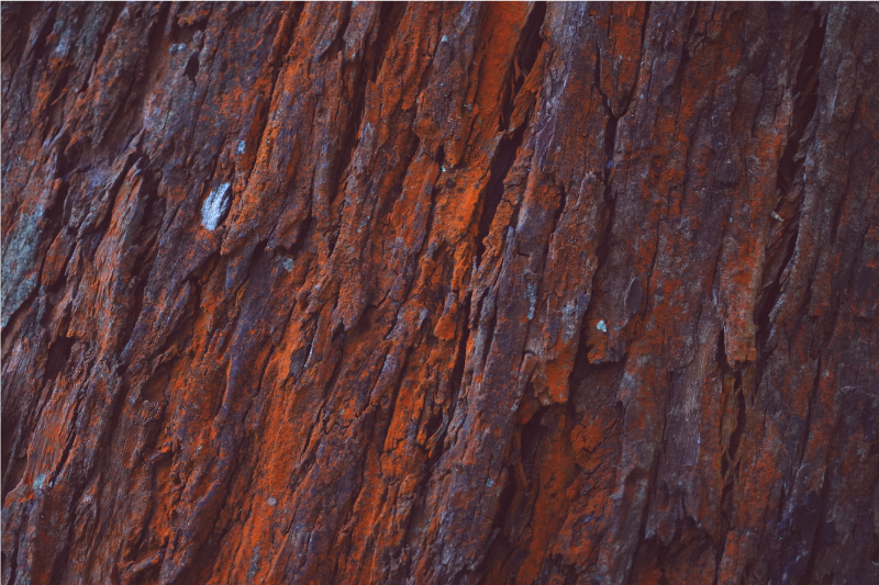 Rustieke schors vinyl tapijt houtstructuur - TenStickers