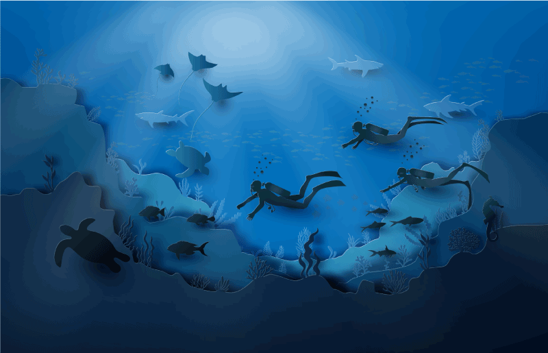 Onderwaterverkenning vinyl tapijt natuur - TenStickers