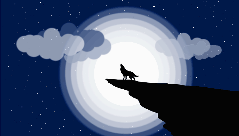 Gehuil van de wassende maan vinyl tapijt tiener - TenStickers