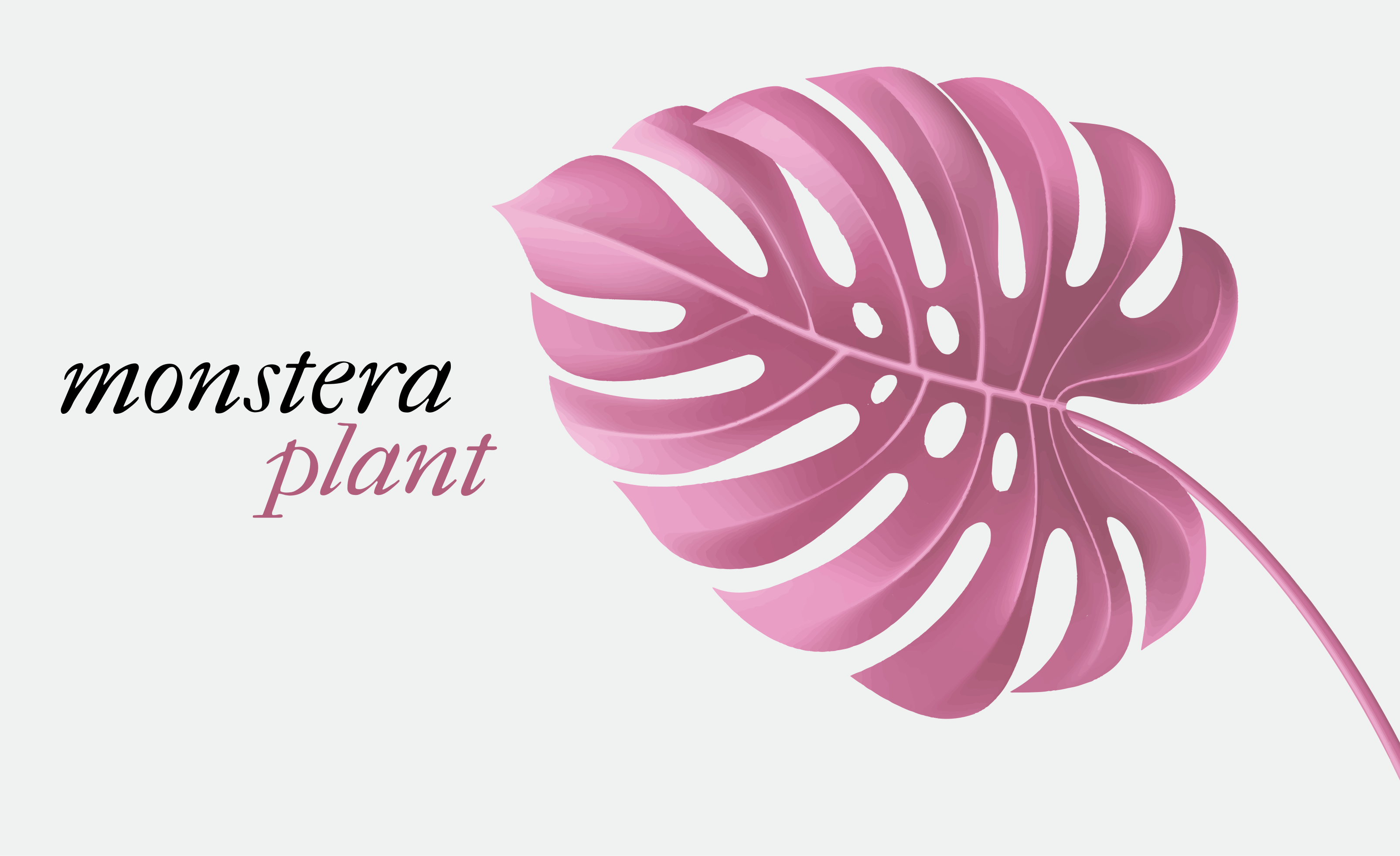 Roze monstera plant vinyl tapijt bloemen en planten - TenStickers