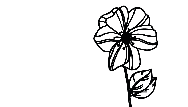 Elegant zwart-wit ontwerp vinyl tapijt bloemen en planten - TenStickers