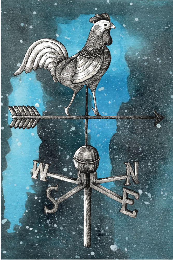 Windvaan haan vinyl tapijt tiener - TenStickers