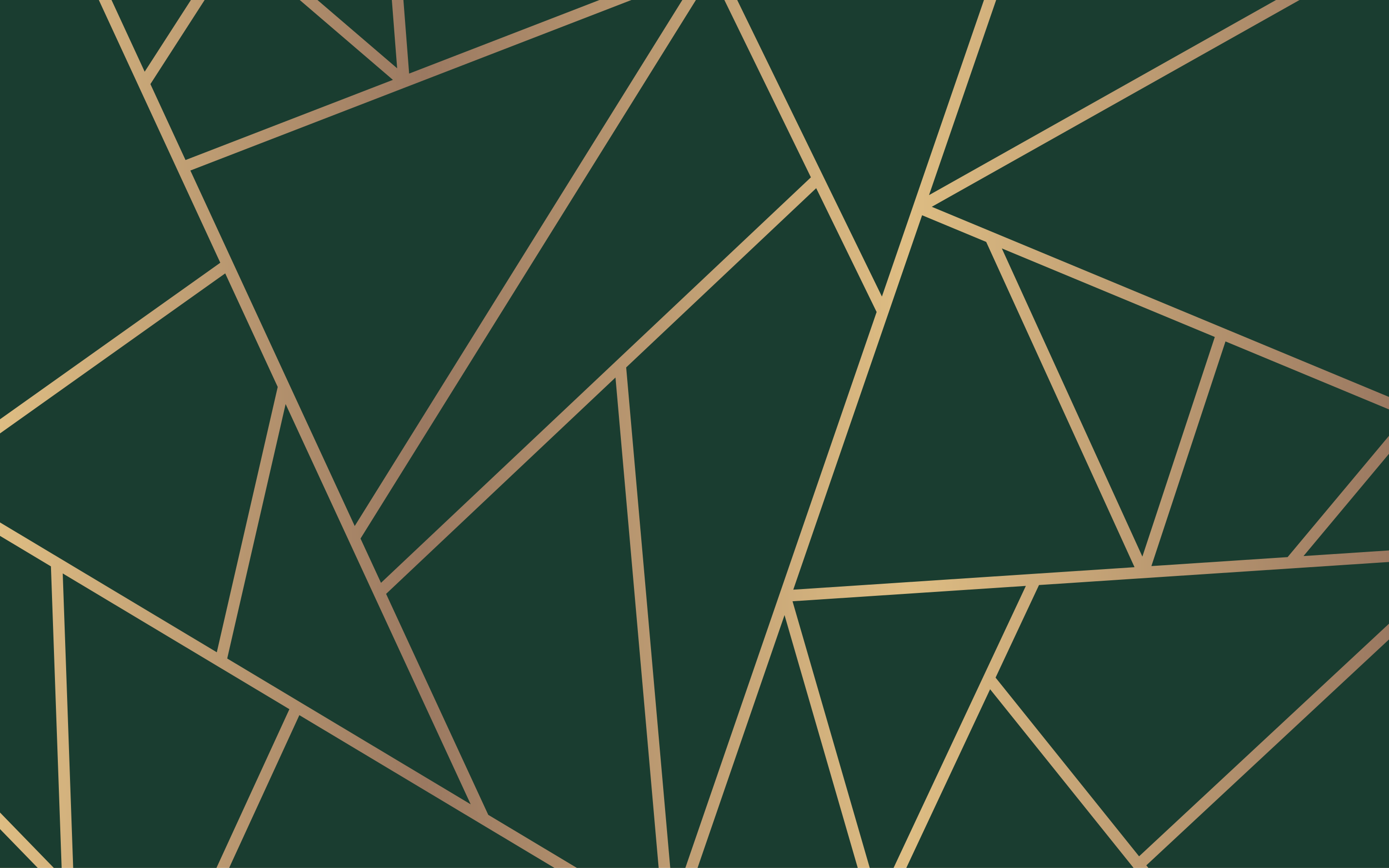 Groene elegante lijnen vinyl tapijt geometrisch - TenStickers