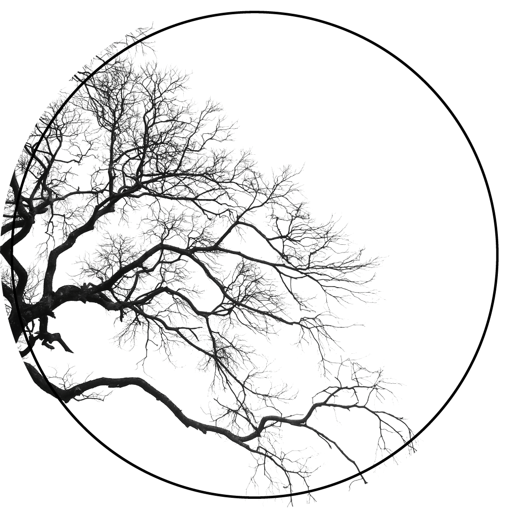 Tak silhouet kunst vinyl tapijt natuur - TenStickers