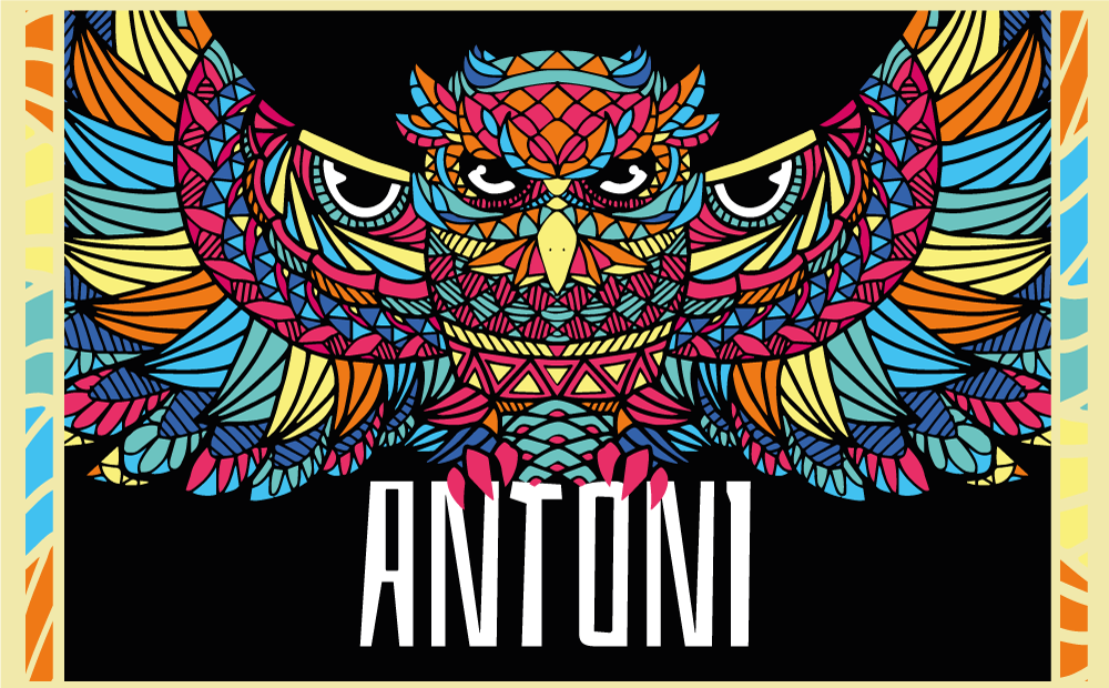 Kleurrijke uilaanpassing vinyl tapijt met naam - TenStickers