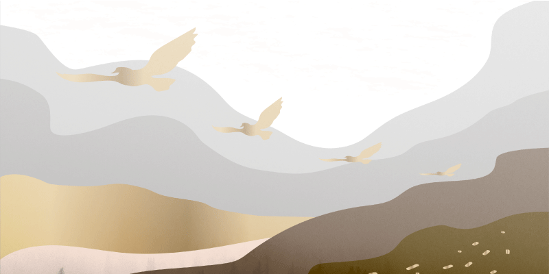 Kalmerende Vogels Silhouet Landschap Vinyl vloerkleed - TenStickers