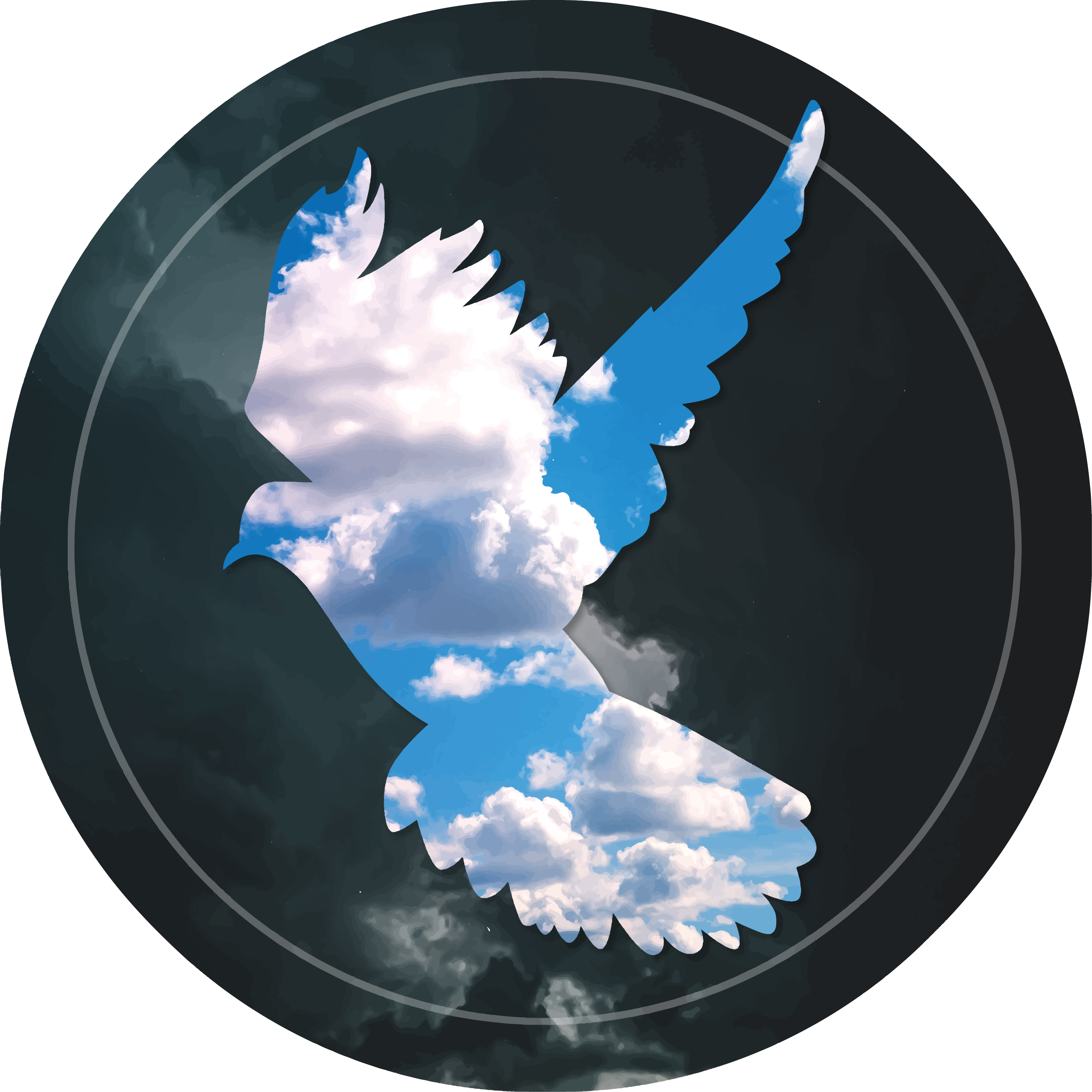 Vinyl tapijt duif met wolken - TenStickers