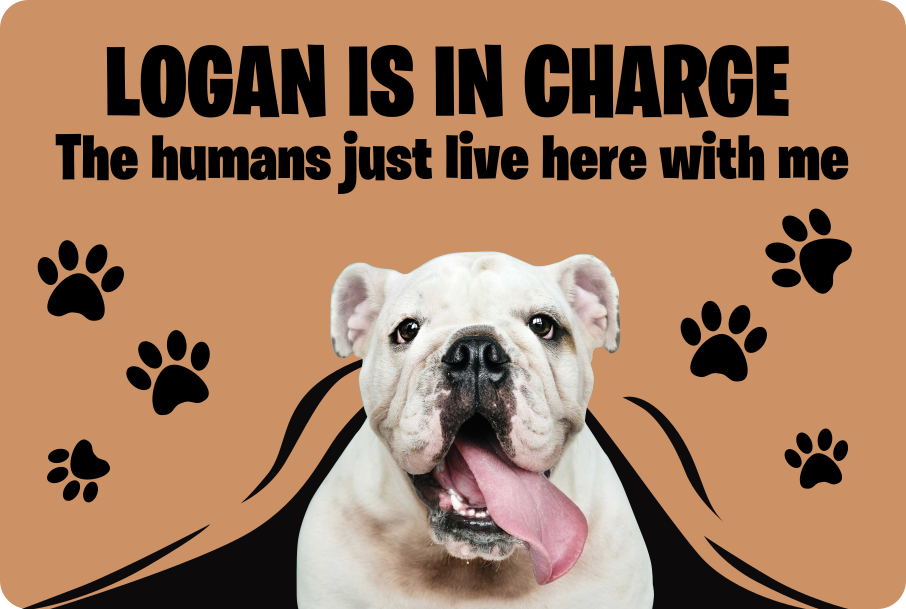 Vinyl tapijt foto hond - TenStickers