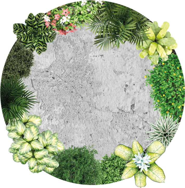 Vinyl tapijt cemment tuin - TenStickers