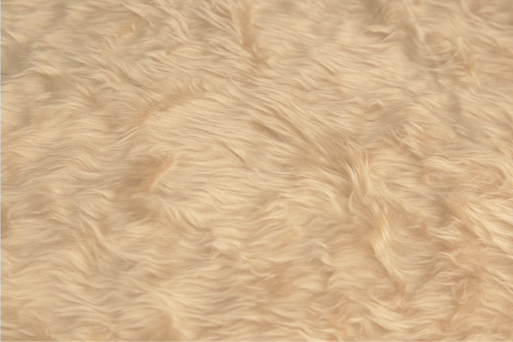 Ontwerp met woleffect vinyl tapijt eetkamer - TenStickers