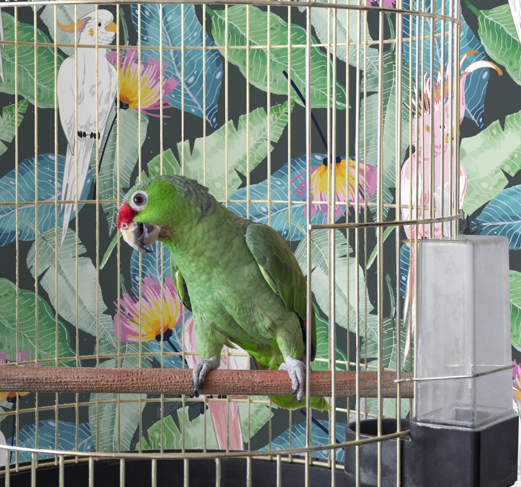 Tropische vogels en bladeren behang vogels - TenStickers